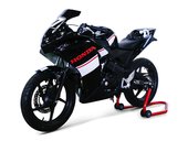 CBR125R Cup 04